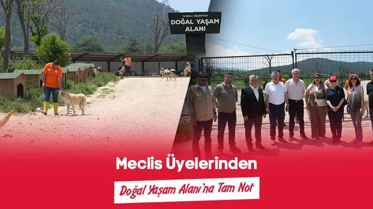 Bolu Belediyesi Doğal Yaşam Alanı Meclisten Tam Not Aldı