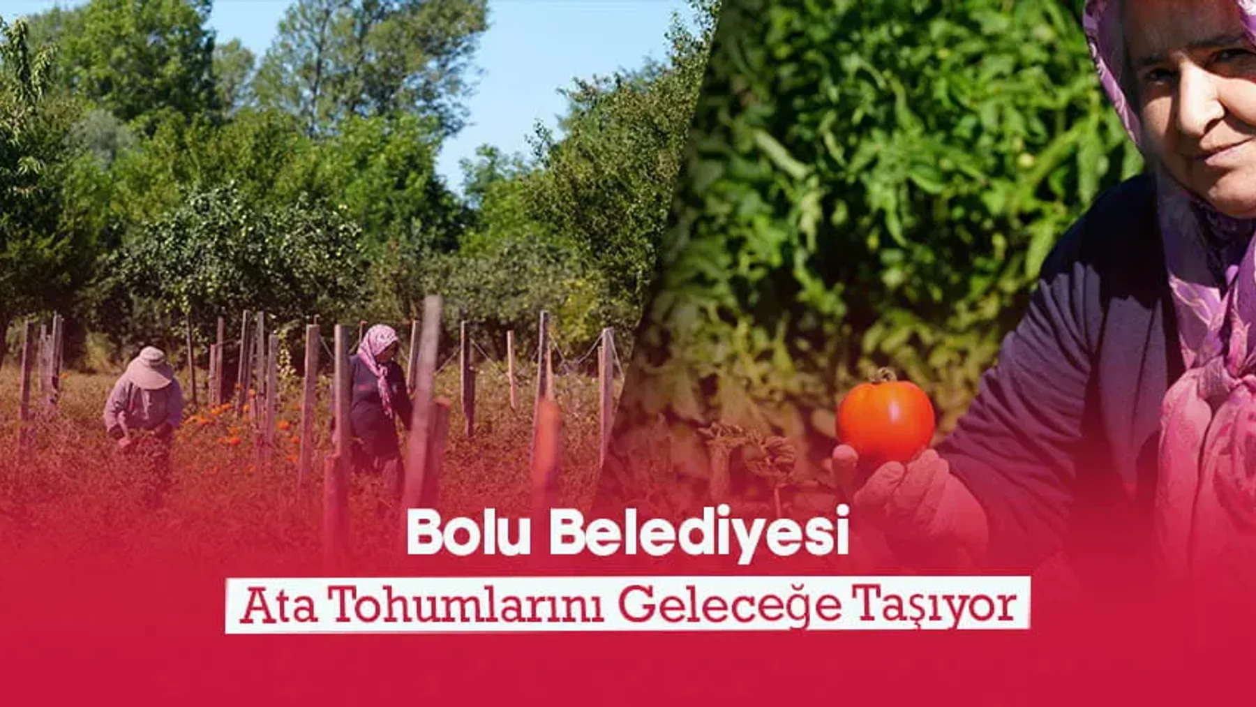 Bolu konulu haberin kapak görseli