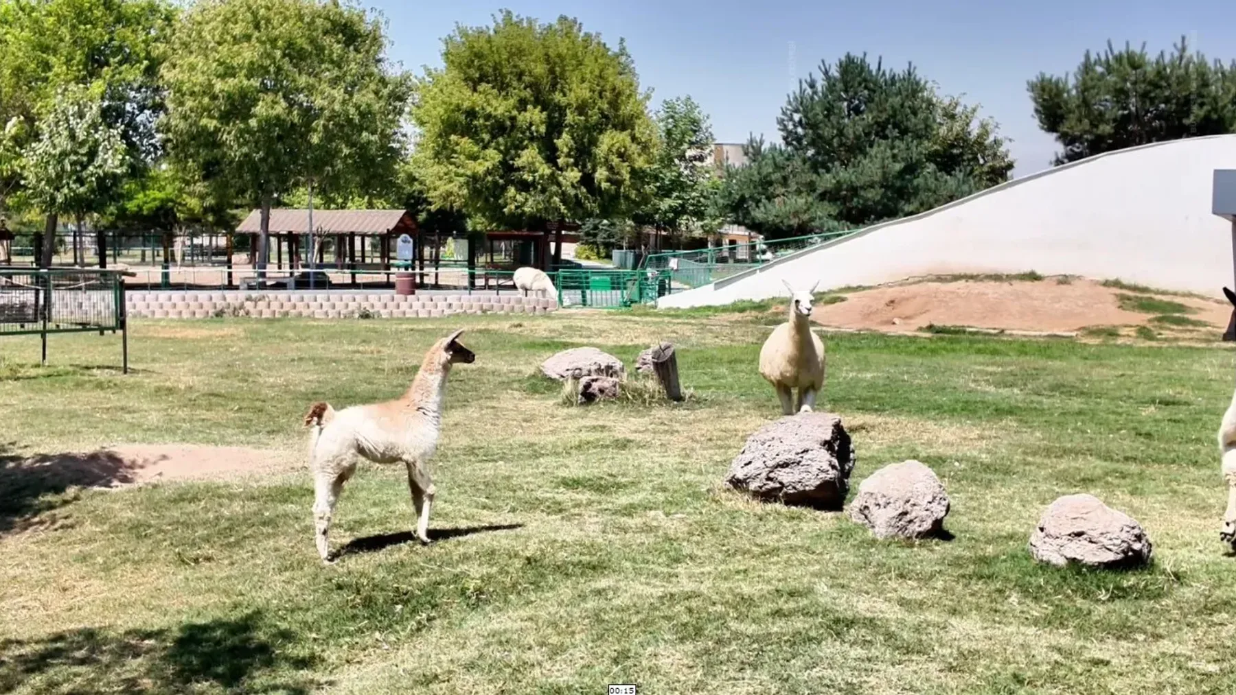Kayseri konulu haberin kapak görseli