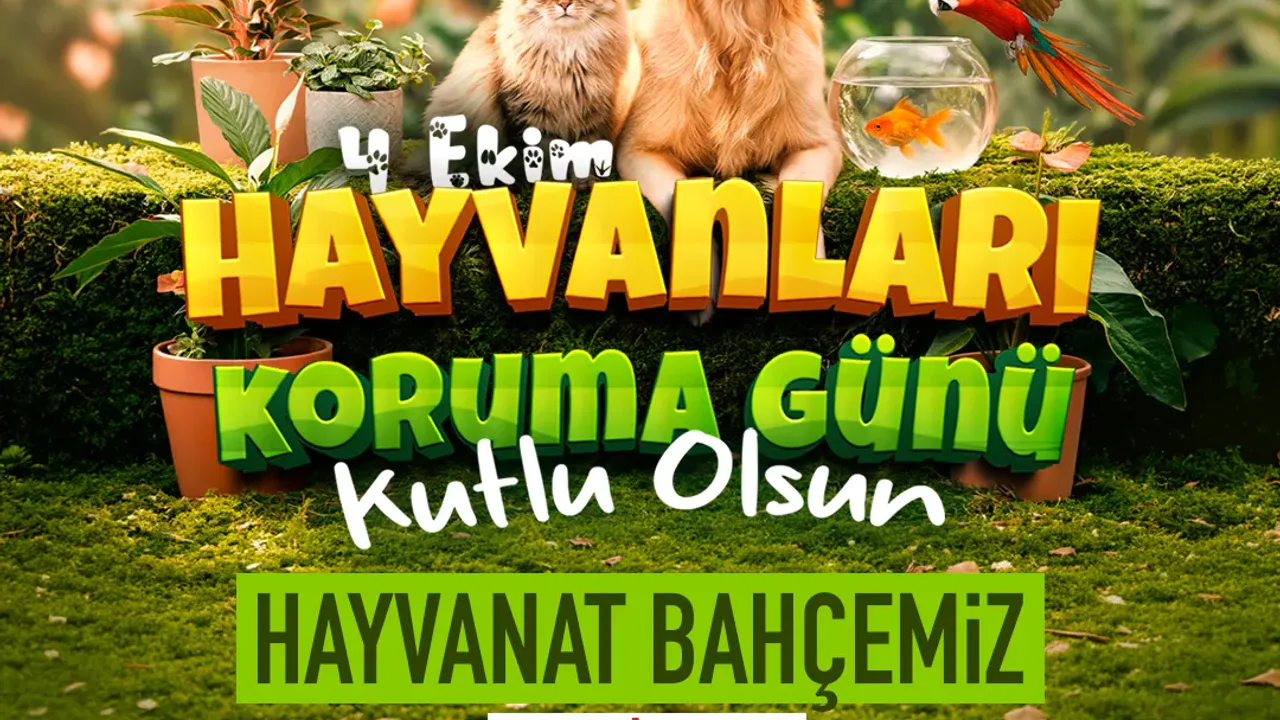 Büyükkılıç: 4 Ekim'de Hayvanat Bahçesi Ücretsiz