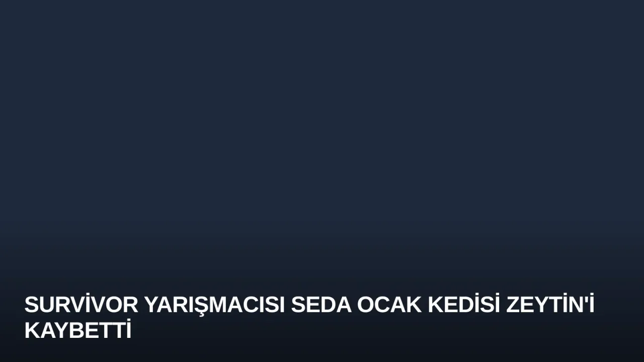 Survivor Yarışmacısı Seda Ocak Kedisi Zeytin'i Kaybetti