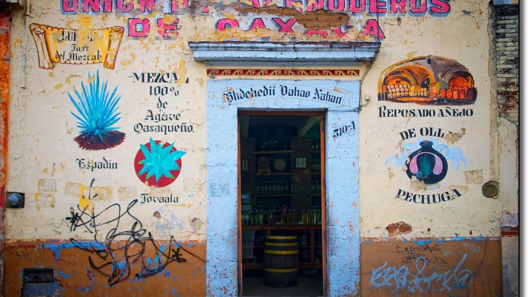 Meksika'da geleneksel yöntemlerle hazırlanan dumanlı mezcal ve endüstriyel tekila şişeleri